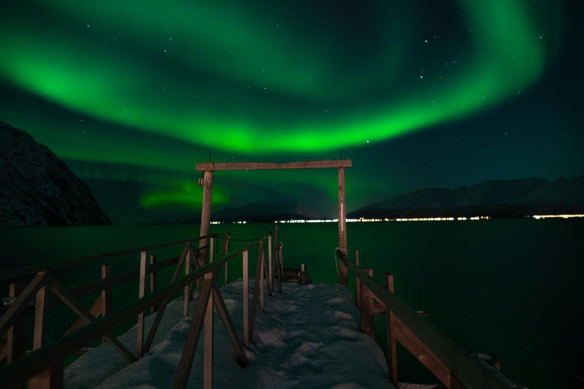 Вилла Lyngen Aurora House Koppangen Экстерьер фото